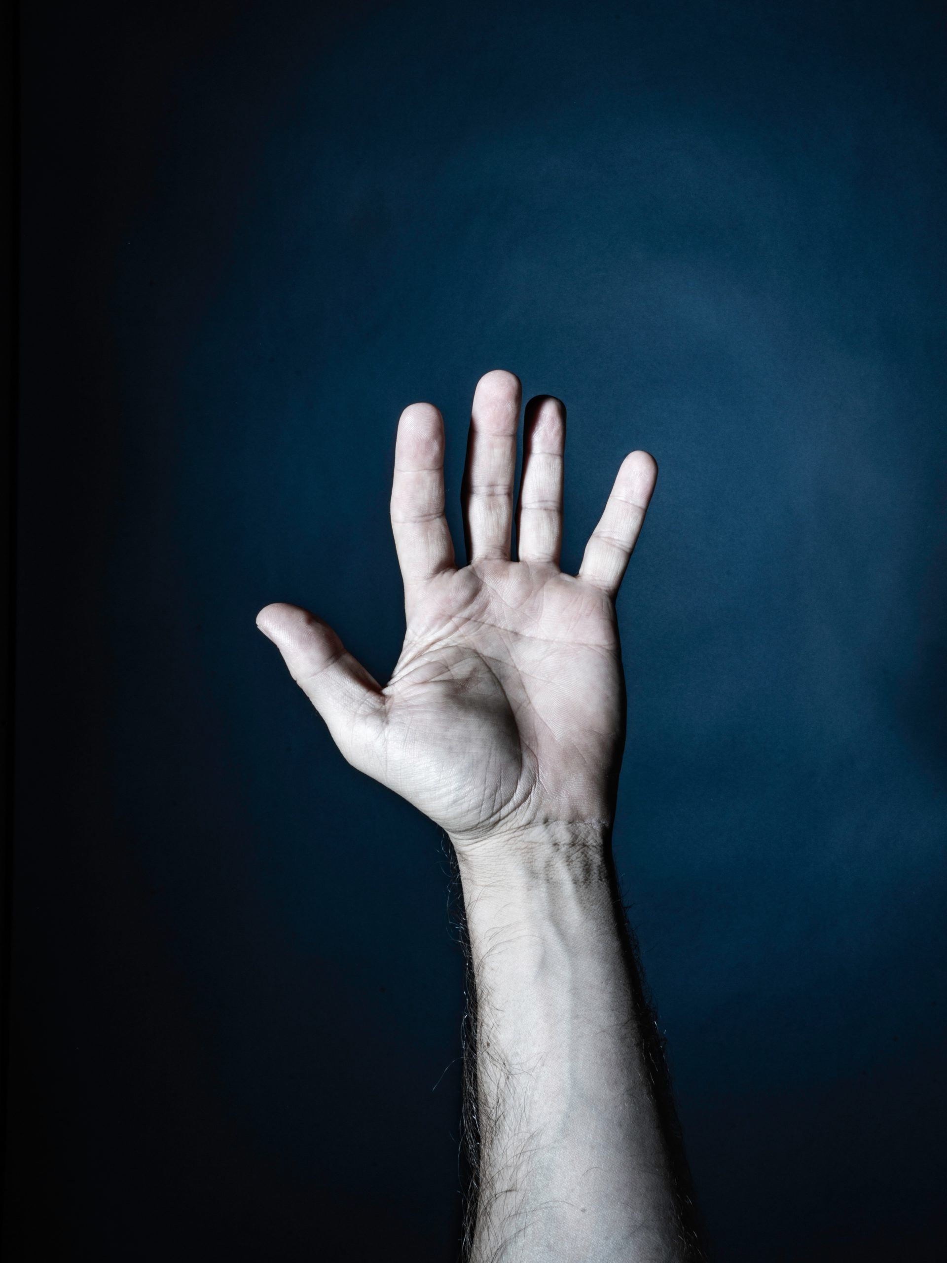 Fonds de dotation Capsule d'Art